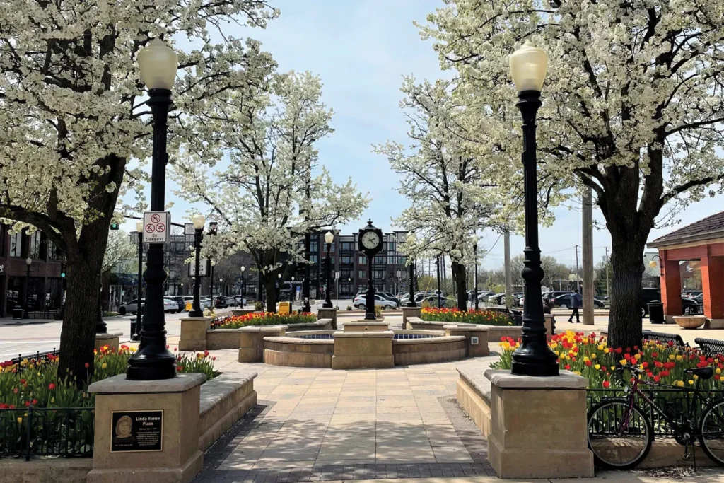 photo of downtown downers grove.